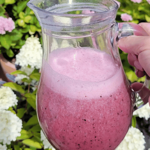A hand holding a large glass pitcher full of a freshly blended pink acai smoothie, with a background of green leaves and white flowers.